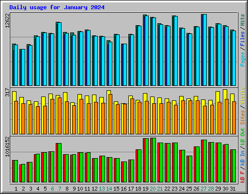 Daily usage for January 2024