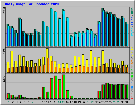 Daily usage for December 2024