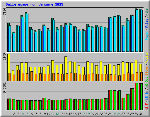 Daily usage for January 2025