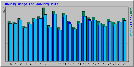 Hourly usage for January 2017