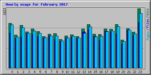 Hourly usage for February 2017
