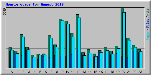 Hourly usage for August 2019