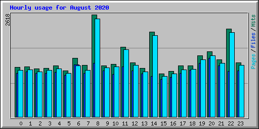 Hourly usage for August 2020