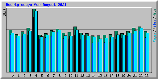 Hourly usage for August 2021