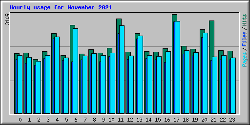 Hourly usage for November 2021