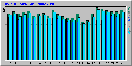 Hourly usage for January 2022