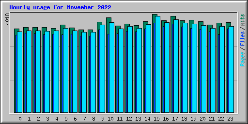Hourly usage for November 2022