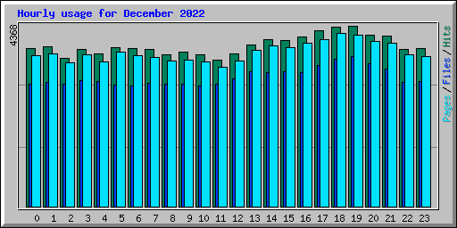 Hourly usage for December 2022