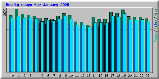 Hourly usage for January 2023