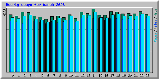 Hourly usage for March 2023