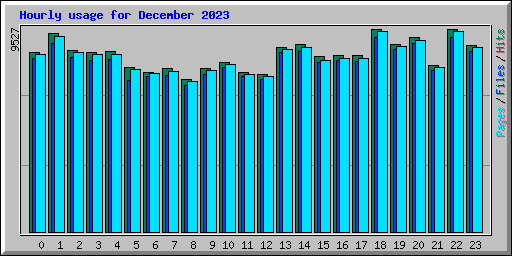 Hourly usage for December 2023