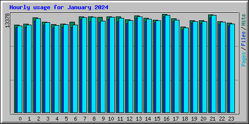 Hourly usage for January 2024