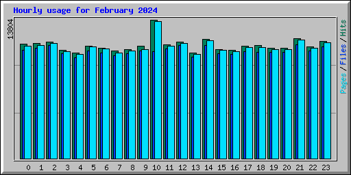 Hourly usage for February 2024
