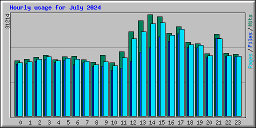 Hourly usage for July 2024