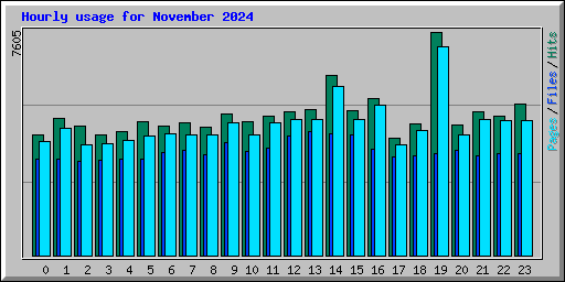 Hourly usage for November 2024