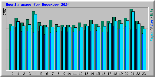 Hourly usage for December 2024