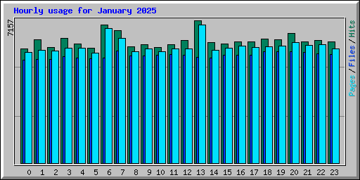 Hourly usage for January 2025