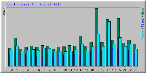 Hourly usage for August 2025