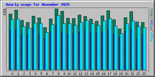 Hourly usage for November 2025