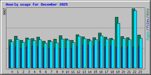 Hourly usage for December 2025