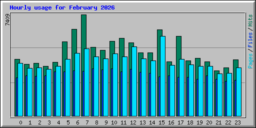 Hourly usage for February 2026