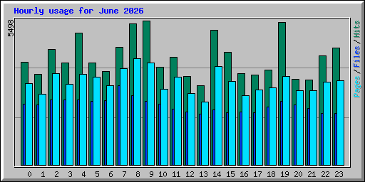 Hourly usage for June 2026