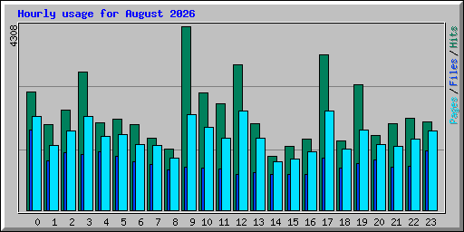 Hourly usage for August 2026